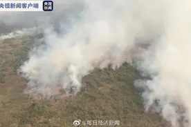 巴西大火10天未熄灭 巴西大火过火面积达4万公顷图片
