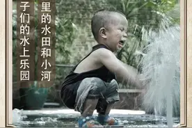 农历中国 | 六月十二 · 夏日嬉水图片