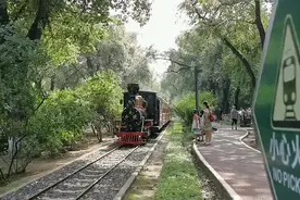 儿童公园小火车今日归来｜是内味儿了图片