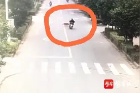 马路中间电动车和狗相撞，骑车人骨折，大黄狗“逃逸”图片