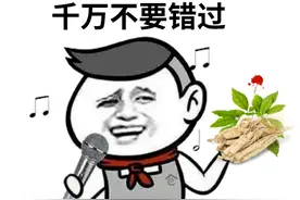【药学园地】五指毛桃怎么挑？药师说有这三个诀窍图片