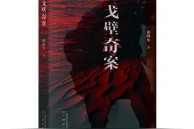 “奇”得不可思议又让人不可思议地相信的《戈壁奇案》图片