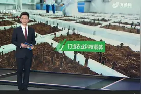 山东打造农业科技载体，为农业产业“强链”“补链”图片