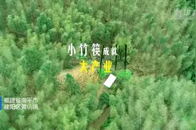 福建南平：小竹筷成就大产业视频封面