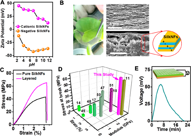涓闄㈤潚鑳芥墍鏉庢湞鏃洟闃熴€夾CS Nano銆嬶細瀛ｉ摰鍖栬殨涓濈撼绫崇氦缁寸敤浜庢箍姘斿彂鐢典笌绂诲瓙鏁存祦