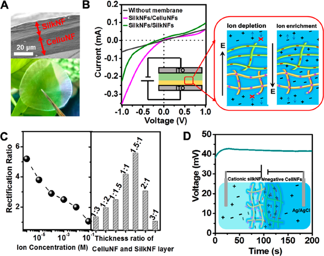 涓闄㈤潚鑳芥墍鏉庢湞鏃洟闃熴€夾CS Nano銆嬶細瀛ｉ摰鍖栬殨涓濈撼绫崇氦缁寸敤浜庢箍姘斿彂鐢典笌绂诲瓙鏁存祦
