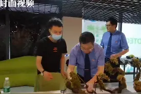 重庆江北警方又当“保安”又当“保姆”解救下蟒蛇送它们去新家图片