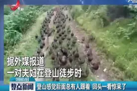 英国：登山感觉后面总有人跟着 回头一看惊呆了视频封面