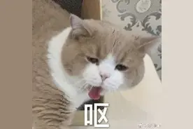 对门在楼道里放3个鞋柜，塞上百双鞋！邻居：味道太上头图片