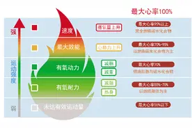 心肺功能：身心健康的晴雨表图片