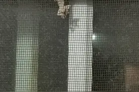 乐居房产投诉｜房子频遭壁虎“侵袭”租户生活质量该由谁买单？图片