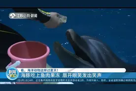 南京：海豚吃鱼肉果冻，像吃冰淇淋的孩子一样，眉开眼笑发出笑声视频封面