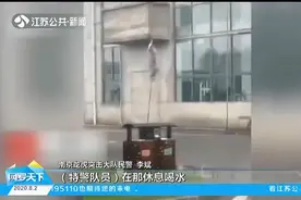看呆！南京：特警基地保洁阿姨轻松爬上攀楼绳，这身手真了不得！视频封面