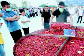啤酒配上小龙虾 济宁鱼台龙虾节青岛分会场啤酒城开幕图片