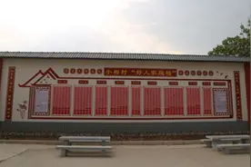 由鲁庄“蝶变”看乡村振兴路径探索图片