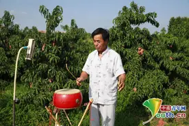 65岁大鼓传人说唱大鼓书50年 爱上短视频把大鼓传遍四邻八乡图片