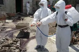 台湾新增一外籍新冠肺炎确诊病例 密切接触者多达300人图片