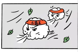 【漫画科普】汛期如何做好台风灾害防御？图片