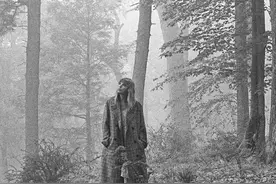 霉霉新专辑刷新多项纪录，成美国年度首周销量最高专辑图片