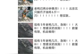 又A又飒！崇明90后村干部朋友圈“卖鸡、卖鸭”？图片