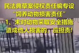 民法典草案明确宠物损害责任 遛狗不拴绳要担责视频封面