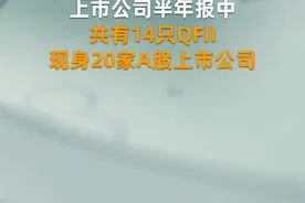 外资QFII现身内地20股 来看最新持仓变化视频封面