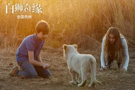 《白狮奇缘》热映 幕后团队历时三年真景真狮拍摄图片