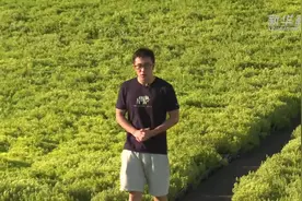 湖南战洪直击｜吸放自如 常德是块“大海绵”视频封面