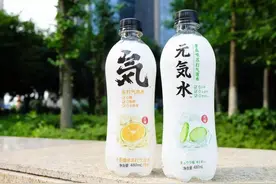 元气森林：“网红”不是性质，而是结果图片