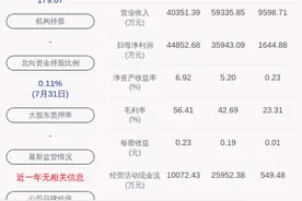 交易异动！盐田港：无未披露的重大信息 近3个交易日上涨26.3%图片