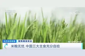 联合国警告：前所未有的粮食危机在逼近！端牢“中国饭碗”有底气图片