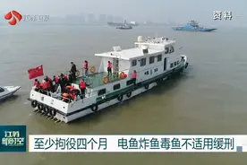 非法捕捞审理指南发布：至少拘役四个月！电鱼炸鱼毒鱼不适用缓刑视频封面