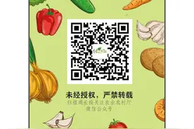 海南省农业农村厅关于发布 《三亚崖州湾科技城肥料产品登记告知承诺制审批管理暂行办法》的通告图片