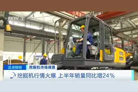 “来5亿元钱的”！挖掘机火到租不到！有人仓库囤了200台……释放什么信号？图片
