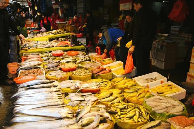 花胶炖雪燕怎么做 花胶炖雪燕怎么做视频