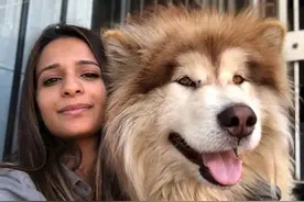 妹子领养回一只圆滚滚的小奶狗，怎么没多久就长成了大狗熊图片