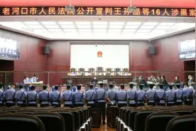 90后“黑老大”获刑20年！湖北这些涉黑涉恶案件宣判了图片