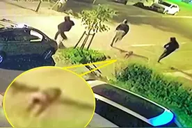 两只宠物狗赶走四名持刀入室抢劫者被赞“英雄”图片
