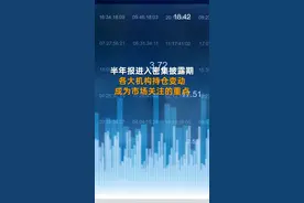 中国财富报道|社保最新持仓曝光：新进13股 8股净利翻番视频封面