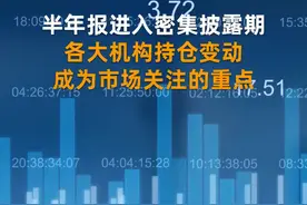 中国财富报道|社保最新持仓曝光：新进13股 8股净利翻番视频封面