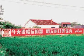 西瓜视频和B站战火烧至综艺，腾爱优芒迎来最大搅局者？图片