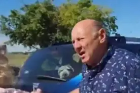 宠物狗被锁高温车内两小时 狗主人因虐待动物罪被起诉图片