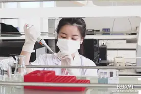 最高支持500万元 快来申报河北省科技领军企业图片