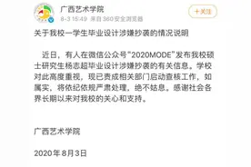 广西艺术学院通报“研究生毕业设计复刻他人作品”图片