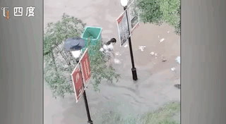 积水中小女孩的这个举动，上了热搜图片