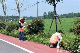 幸福的养路“夫妻档”：家门口就业年入六七万，还能照顾老人孩子图片