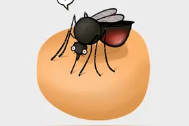 抹肥皂、画十字，江湖盛传的蚊子包止痒法，哪个最有效？图片