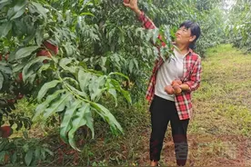 登封煤窑沟村：穷山沟变成了“金洼地”图片