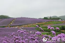 守底线走新路，绿水青山就是金山银山的“贵州实践”图片