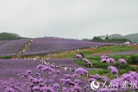 守底线走新路，绿水青山就是金山银山的“贵州实践”图片